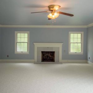 Light Blue Painted Living Room